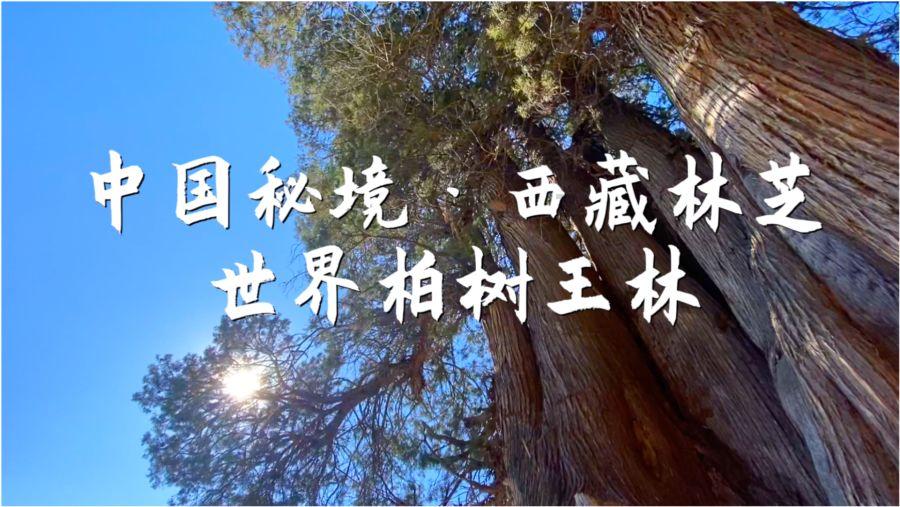 冒险岛2